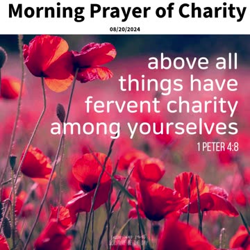 Nighttime Prayer of All Things #youtubeshorts #grace #jesus #mercy #faith #fyp #blessed #trust #love