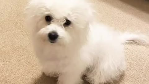 8.They’ll never love you like I can..😤🥺