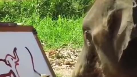 Talented elephant