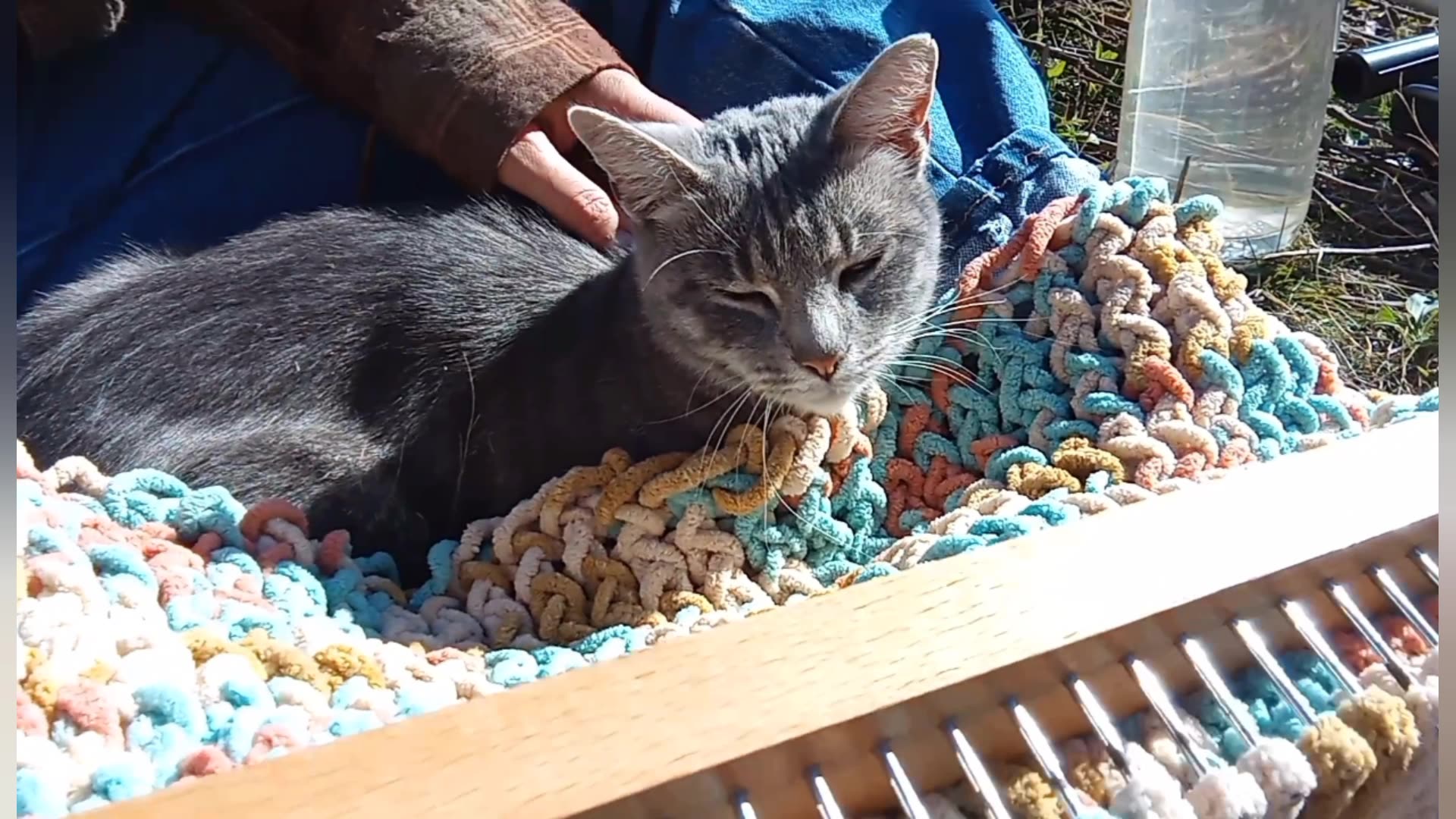 Project Baby 👶 Blanket