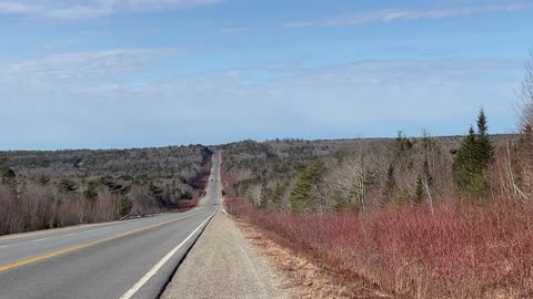 103 Highway Surrounded By Forests