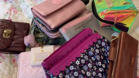 My Top 5 Favorite Wallets & Cosmetic Bags.