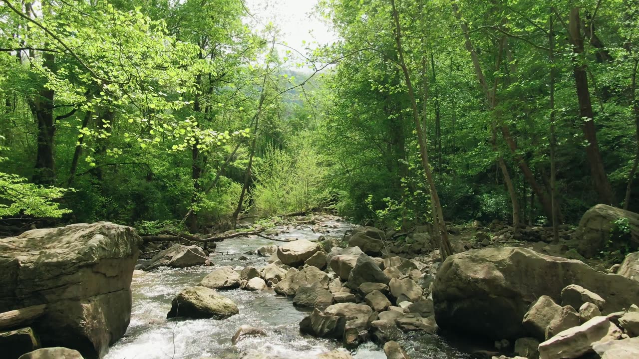 beauty of nature