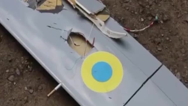 The first confirmed fact of the destruction of the Polish FlyEye drone in Ukraine