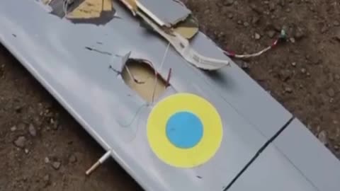 The first confirmed fact of the destruction of the Polish FlyEye drone in Ukraine