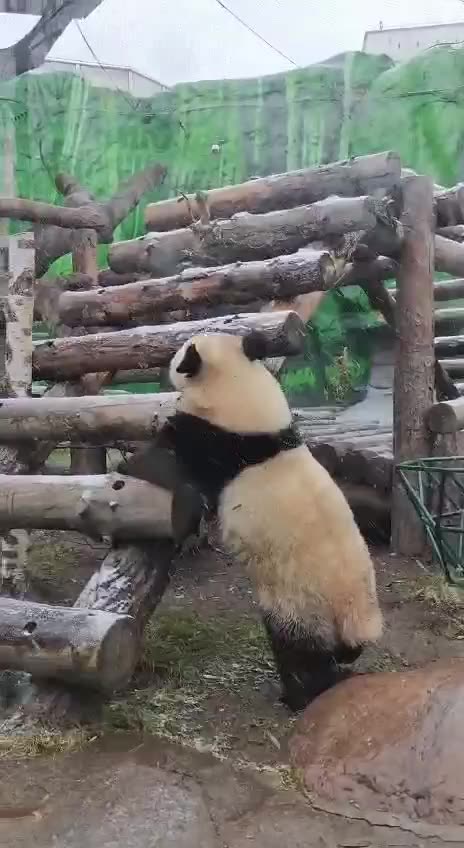 Kids always stressing their mothers out 🤣