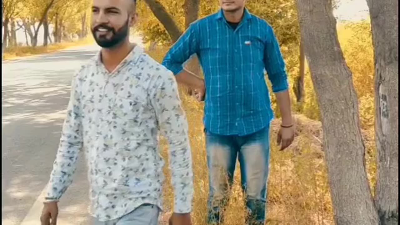 Punjabi song status