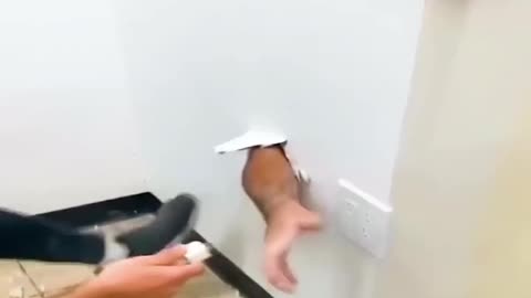Compilation funny best video