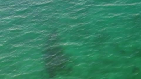 View of the turquoise blue sea from a sunny beach