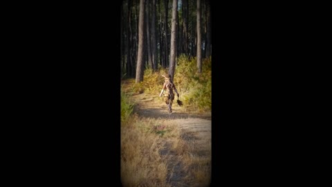 Assossa et l'esprit des arbres. Enfants Gardiens de la Terre