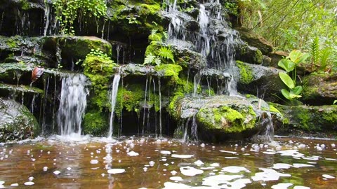 Pretty Water fall scene || Nature's love