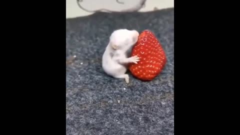 This baby eating strawberry has more beautiful thing