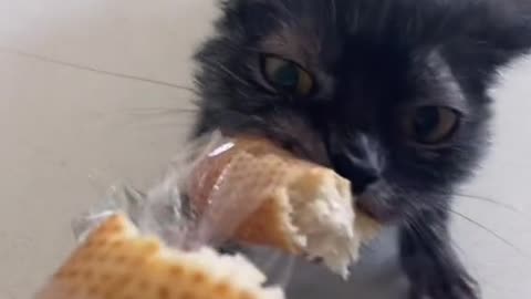 Give me my bread!