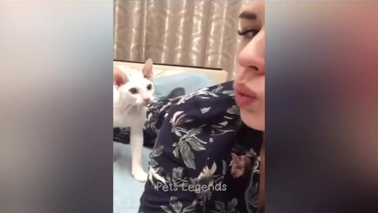 Funniest Animals 2024 New Funny Cats and Dogs Videos Part 1 #rumble