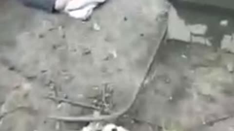 GRAPHIC CONTENT: Footage from Bucha