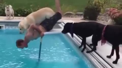 Lets jump together dad