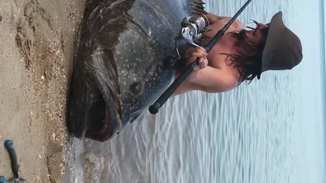 Reeling in a Huge Queensland Groper