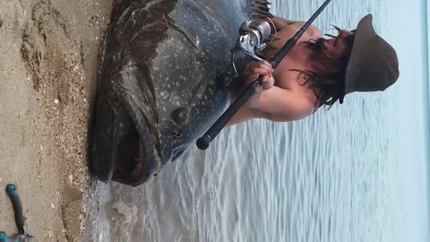 Reeling in a Huge Queensland Groper