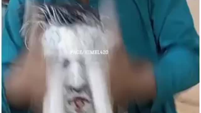 funny video
