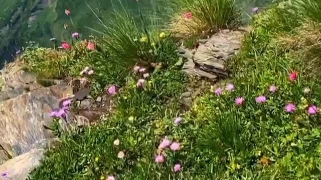 Beautiful Nature. Mountain 🌄