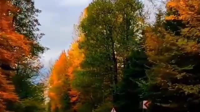 This is why I love autumn. part 3