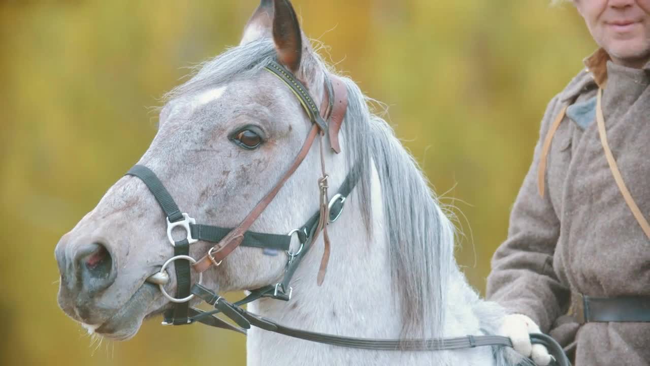 A military man riding on the horseback - a white beautiful horse