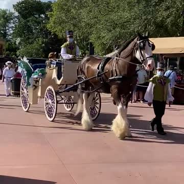 Frozen mini parade at Epcot