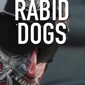 Today, we celebrate 249 years of age the United State Marine Corp