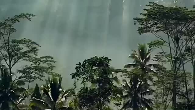 The beauty of nature