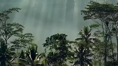 The beauty of nature
