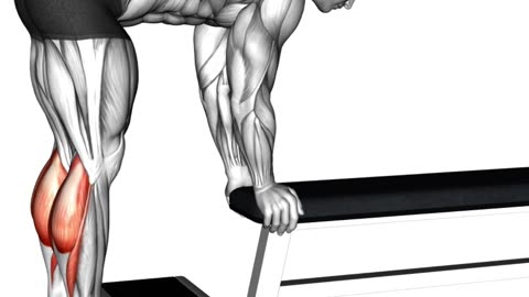 Best Calf Exercises #calfexercises #fitnessgoals #strengthtraining #sculptedcalf #shorts #short