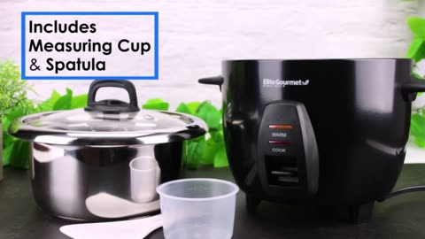 Electric Rice Cooker with Stainless Steel