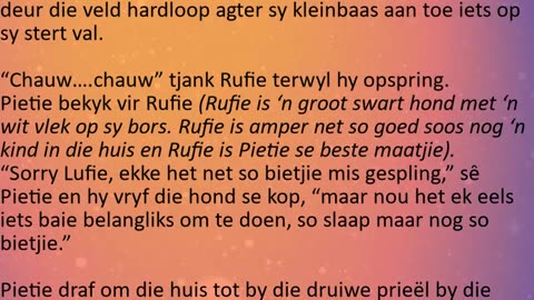 Pietie is in die moeilikheid