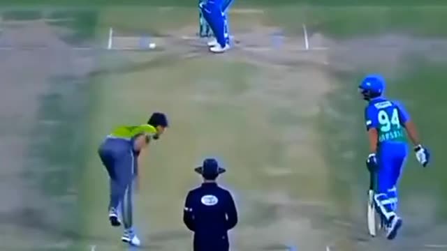 cricket fans-video cricket lovers-video #cricket #cricketlover