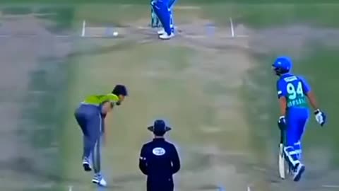 cricket fans-video cricket lovers-video #cricket #cricketlover