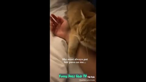 Funny Animal Videos 🤣 Funniest Cats and Dogs Videos 2024 😹