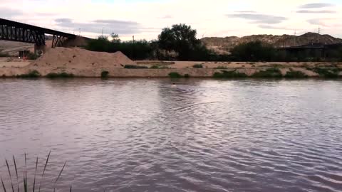 Swimming Rio Grande