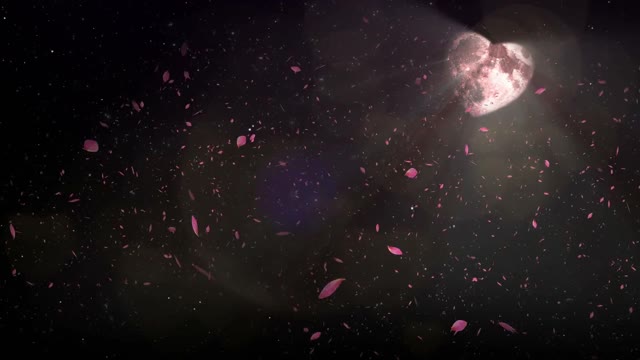 Look at the moon of love.