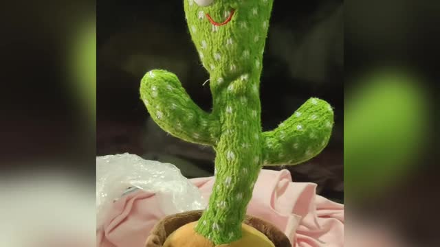 Dancing cactus