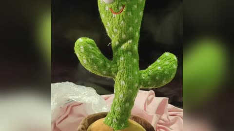 Dancing cactus