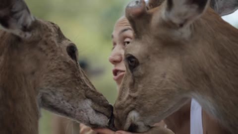 Mother with little daughter feeding a deers