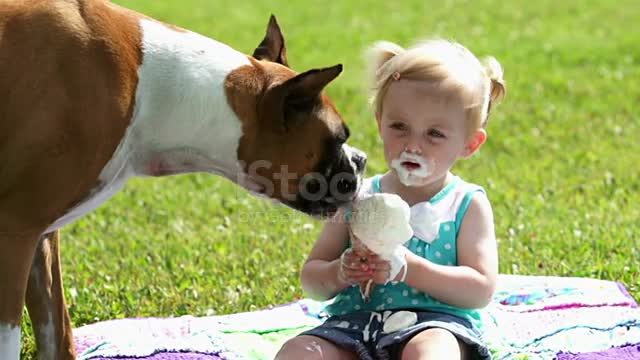 Toddler and doggie share Ice cream طفل صغير وكلب يتشاركان الآيس كريم