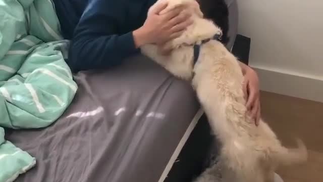 it's our cute puppy, It's not the alarm clock that wakes you up every day