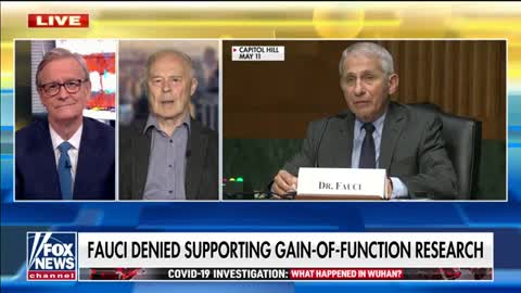 Wuhan lab documents call Anthony Fauci's claims into question