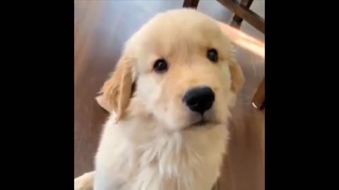 I wonder what he's thinking.