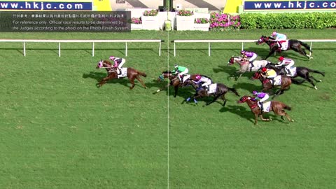 Horse_Race_2022052907_Chinese