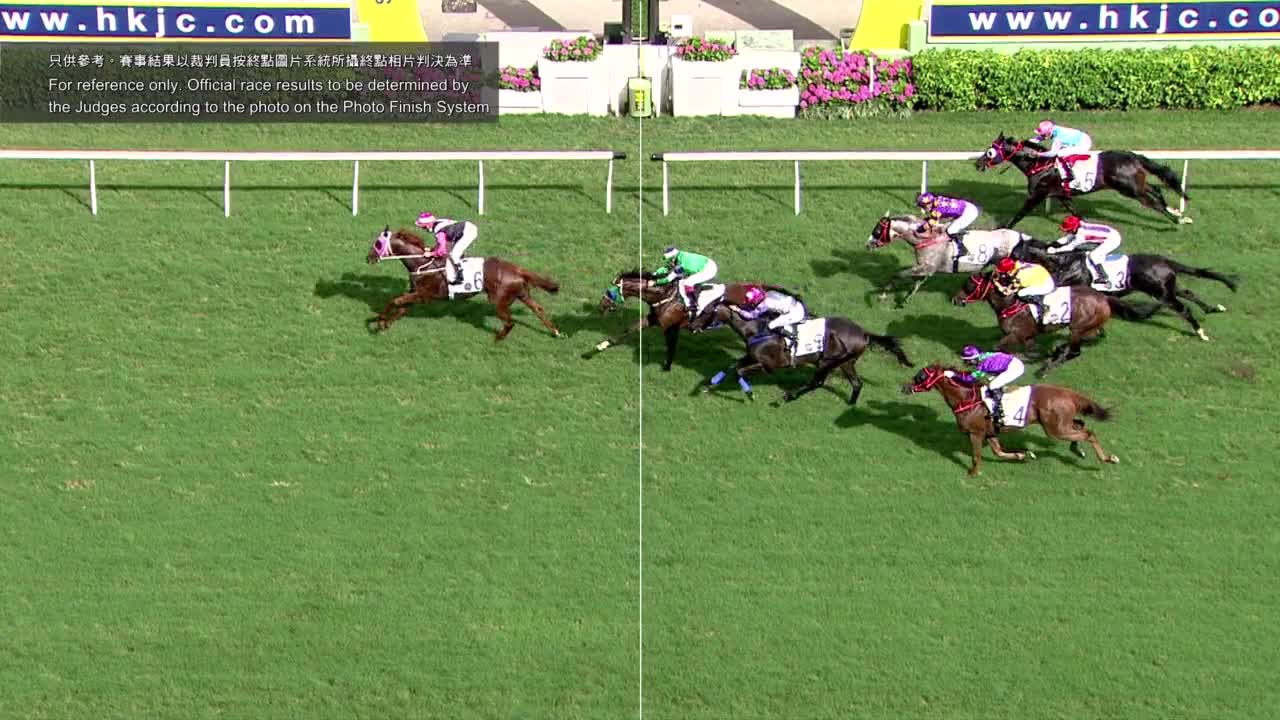 Horse_Race_2022052907_Chinese