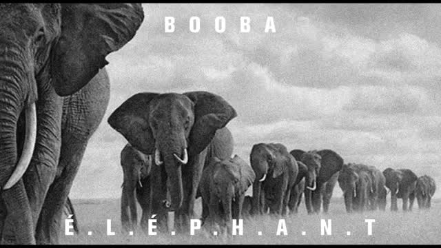 Booba - É.L.É.P.H.A.N.T (Audio)