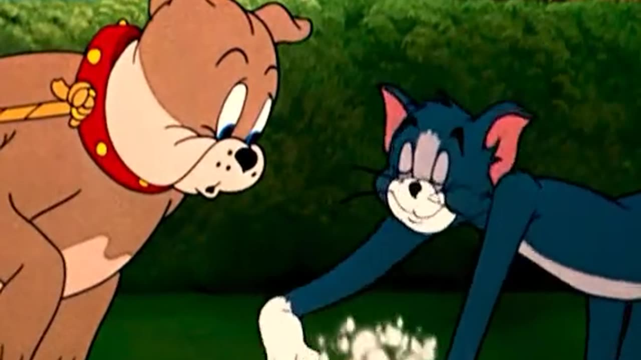 "Non-Stop Chaos: Tom and Jerry’s Craziest Fight Yet! 💥"