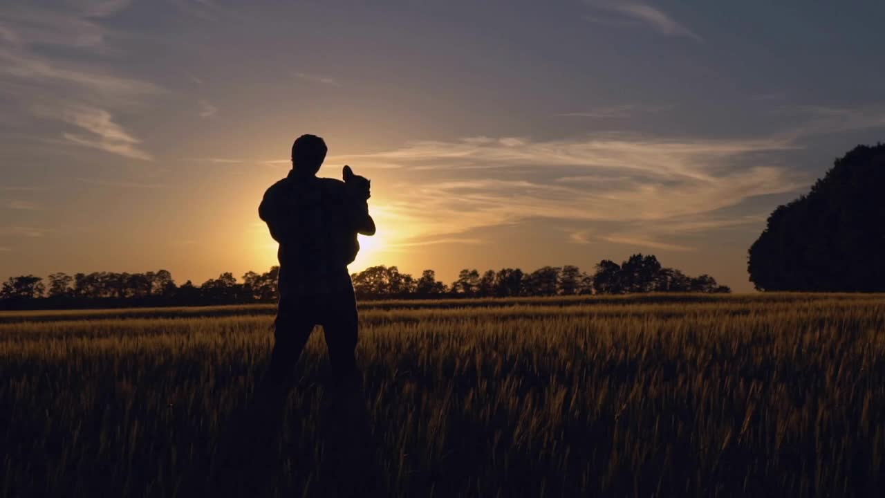 Man holding best friend. Silhouettes men with dog standing at wheat field at sundown